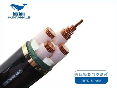 電線(xiàn)電纜廠(chǎng)家
