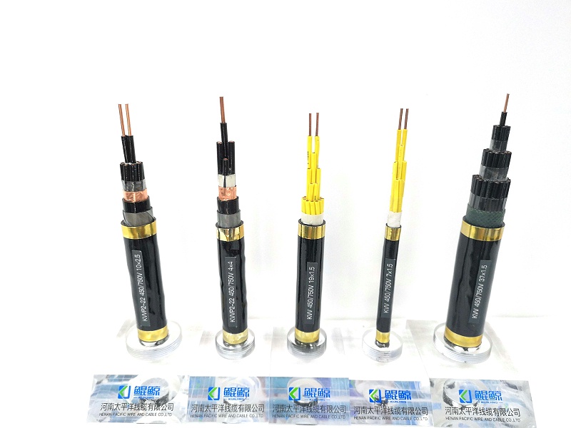 鄭州電纜廠(chǎng)淺談?dòng)嬎銠C電纜與控制電纜有什么不同？